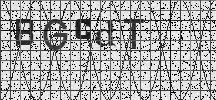 Visual Confirmation Security Code