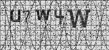 Visual Confirmation Security Code