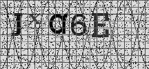 Visual Confirmation Security Code