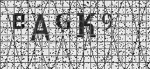 Visual Confirmation Security Code