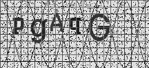 Visual Confirmation Security Code