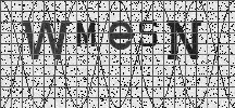 Visual Confirmation Security Code