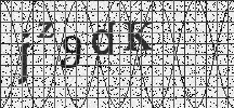 Visual Confirmation Security Code