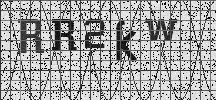 Visual Confirmation Security Code