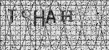 Visual Confirmation Security Code