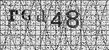 Visual Confirmation Security Code