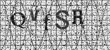 Visual Confirmation Security Code
