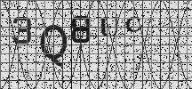 Visual Confirmation Security Code