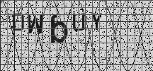Visual Confirmation Security Code