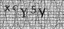 Visual Confirmation Security Code