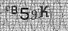 Visual Confirmation Security Code