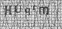 Visual Confirmation Security Code