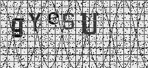 Visual Confirmation Security Code