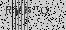 Visual Confirmation Security Code