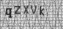 Visual Confirmation Security Code
