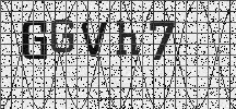 Visual Confirmation Security Code