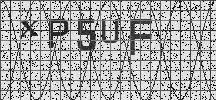 Visual Confirmation Security Code