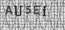Visual Confirmation Security Code
