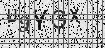 Visual Confirmation Security Code