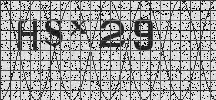 Visual Confirmation Security Code