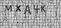Visual Confirmation Security Code