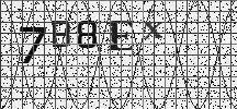 Visual Confirmation Security Code