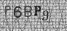 Visual Confirmation Security Code