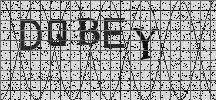 Visual Confirmation Security Code